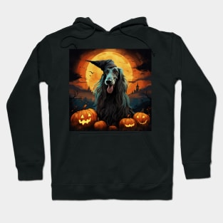 Halloween Afghan Hound Hoodie